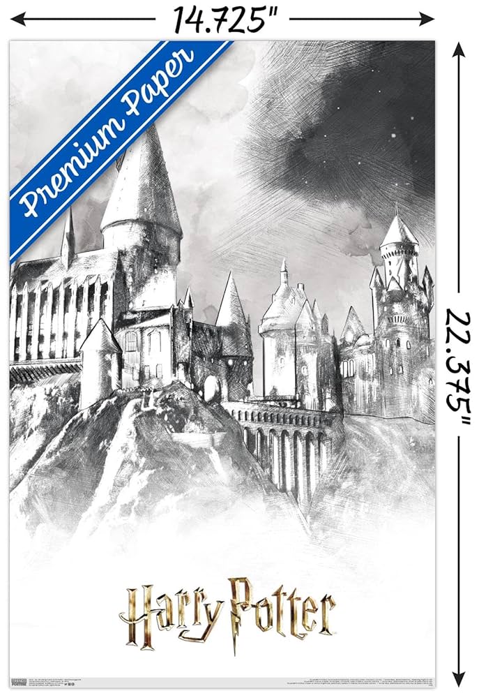 希少❇️人気 ハリー・ポッター HOGWARTS CASTLE ポスター 美品 Amazon.co.jp: Trends International Wizarding World:ハリー